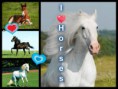/album/collage-pizap-/pizap-com10-59543152106925851379517302102-jpg/